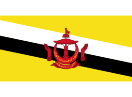 Informations à propos de Brunei Darussalam